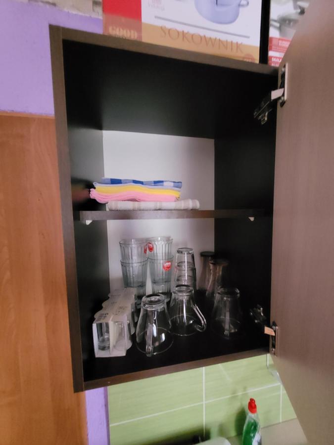 Wiejski Relax Pod "Zelaznym Szlakiem" Jastrzębie Zdrój Dış mekan fotoğraf